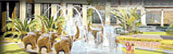 brochure_shilin